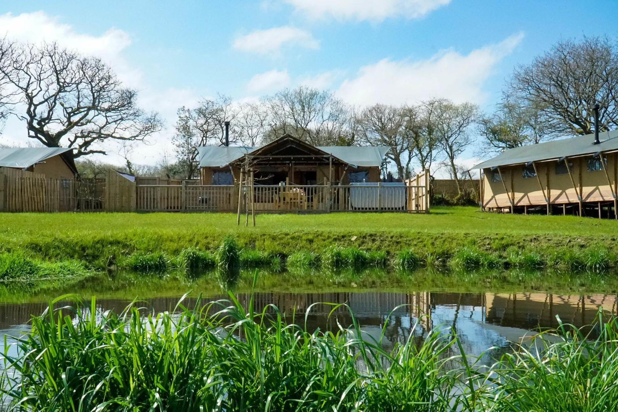 Jungle Book Safari Tent Tenby Eksteriør bilde
