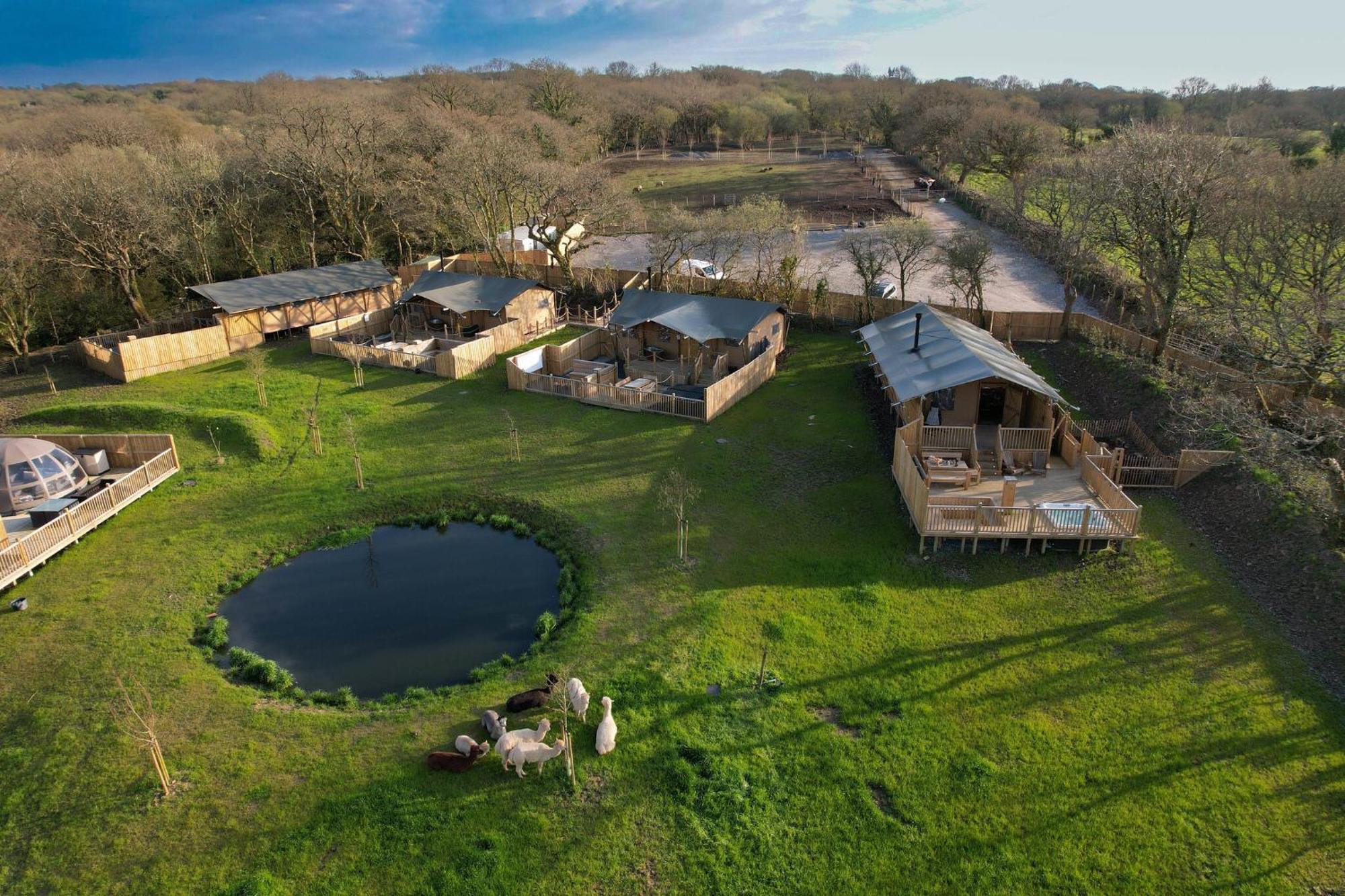 Jungle Book Safari Tent Tenby Eksteriør bilde