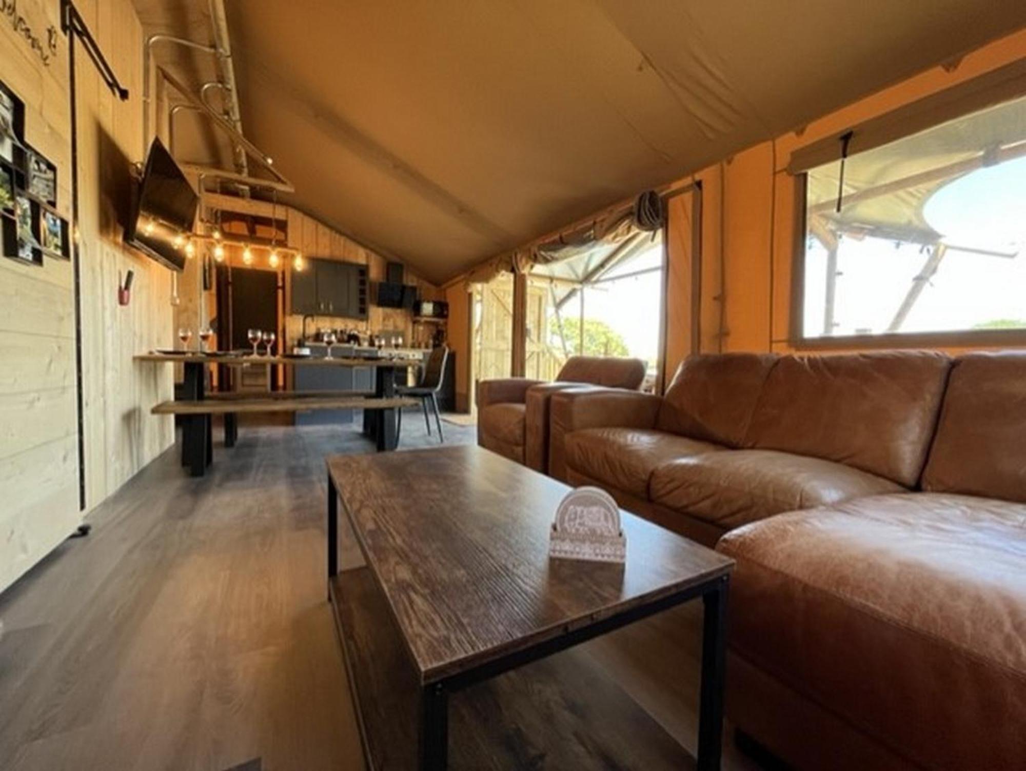 Jungle Book Safari Tent Tenby Rom bilde
